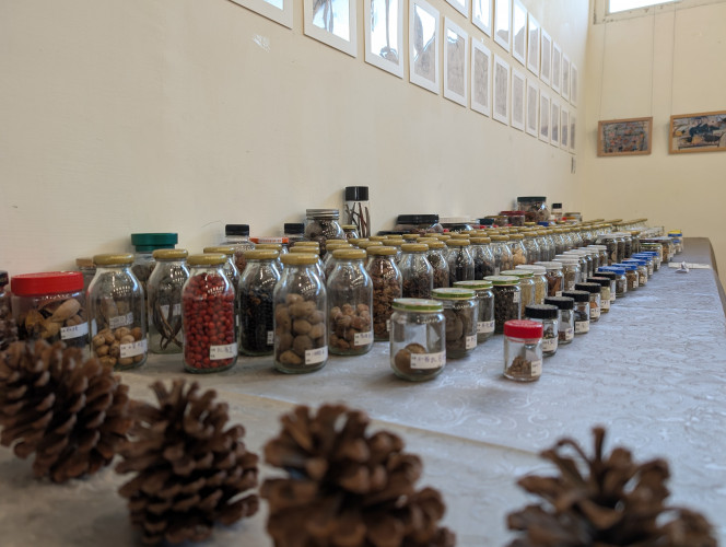 編號58圖片連結的縮圖