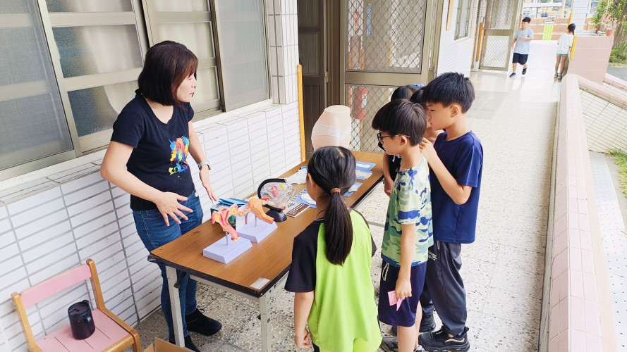 編號62圖片連結的縮圖